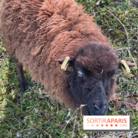 Center Parcs Lac d'Ailette - IMG 7622