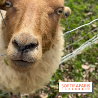 Center Parcs Lac d'Ailette - IMG 7705