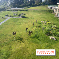 Emeria Dinard