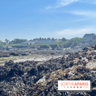 Emeria Dinard - IMG 8566