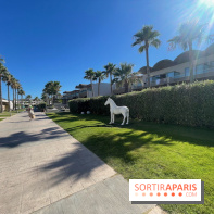 Avra Imperial Hotel en Crète : nos photos - IMG 2283