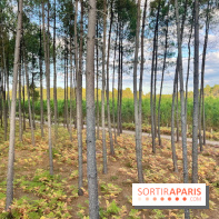 Center Parcs Landes de Gascogne : Nos Photos