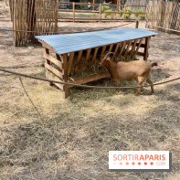 Center Parcs Landes de Gascogne : Nos Photos - IMG 6510