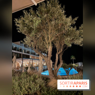 Villa Le Blanc Gran Meliá : piscine principale de nuit
