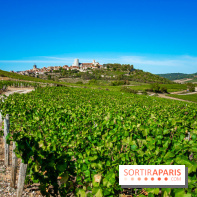 Le Château de Vault-de-Lugny - excursions dans la région