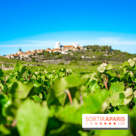 Le Château de Vault-de-Lugny - excursions dans la région