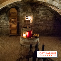 Le Château de Vault-de-Lugny - excursions dans la région