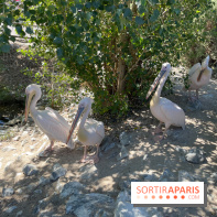 CenterParcs : Domaine Le Bois aux Daims et ses alentours