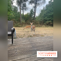 CenterParcs : Domaine Le Bois aux Daims et ses alentours
