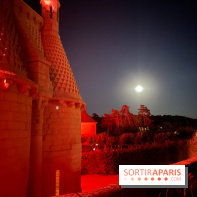 Abbaye Royale de Fontevraud