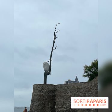 Villa Reine Hortense à Dinard : nos photos - IMG 1051