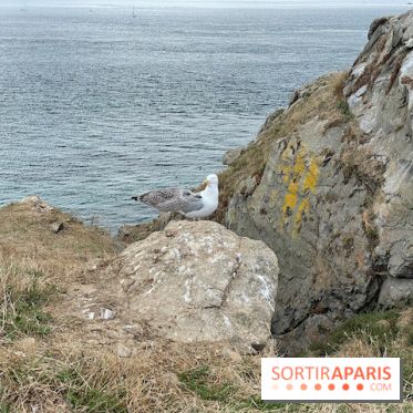 Villa Reine Hortense à Dinard : nos photos - IMG 1485