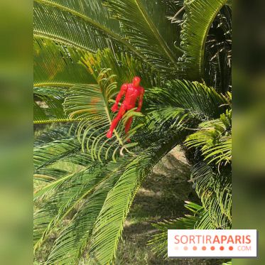 Forte Resort, images du centre  - IMG 2777