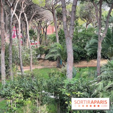 Forte Resort, Hôtel et buffet Pineta  - IMG 2001