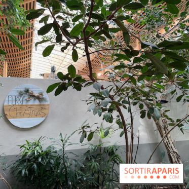 Center Parcs Les Trois Forêts - IMG 2376