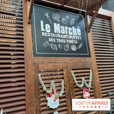 Center Parcs Les Trois Forêts - IMG 2377