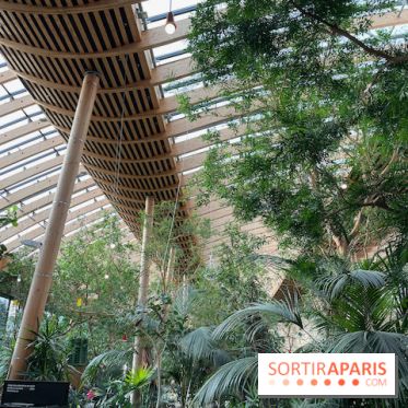 Center Parcs Les Trois Forêts - IMG 2379