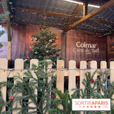 Hôtel Esquisse et marché de Noël de Colmar
