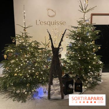 Hôtel Esquisse et marché de Noël de Colmar