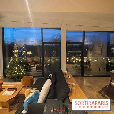 Hôtel Esquisse et marché de Noël de Colmar - IMG 2772