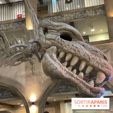 Hôtel Krønasår : Aventure 4 Étoiles près de Rulantica à Europa Park - IMG 2973