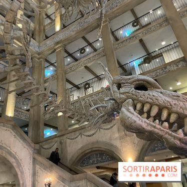 Hôtel Krønasår : Aventure 4 Étoiles près de Rulantica à Europa Park - IMG 2974