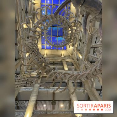 Hôtel Krønasår : Aventure 4 Étoiles près de Rulantica à Europa Park - IMG 2987