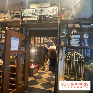 Hôtel Krønasår : Aventure 4 Étoiles près de Rulantica à Europa Park - IMG 2991