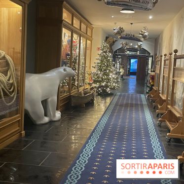 Hôtel Krønasår : Aventure 4 Étoiles près de Rulantica à Europa Park - IMG 2992