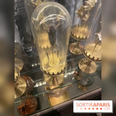 Rulantica à Europa Park - IMG 3611