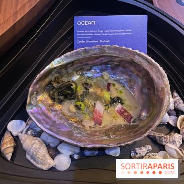 Eatrenalin à Europa Park - IMG 3135