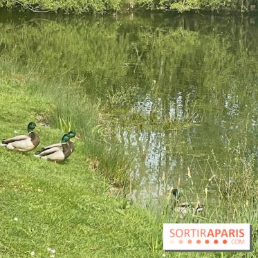 Center Parcs Lac d'Ailette