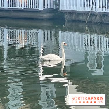 Center Parcs Lac d'Ailette - IMG 7614