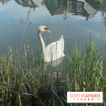 Center Parcs Lac d'Ailette - IMG 7615