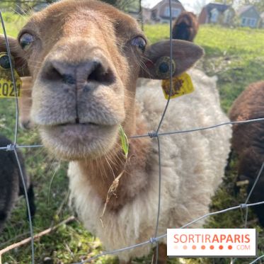 Center Parcs Lac d'Ailette - IMG 7621