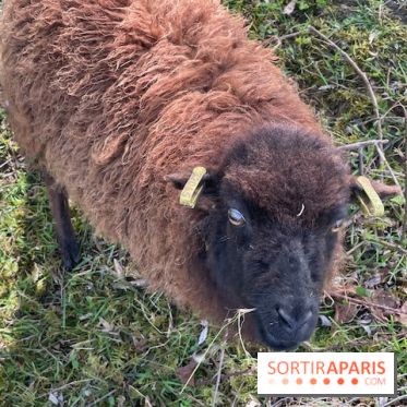 Center Parcs Lac d'Ailette - IMG 7622