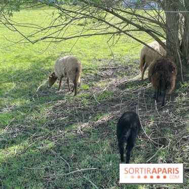 Center Parcs Lac d'Ailette - IMG 7623