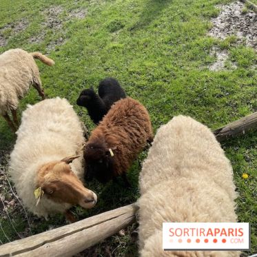 Center Parcs Lac d'Ailette - IMG 7700