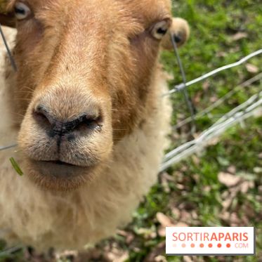 Center Parcs Lac d'Ailette - IMG 7705