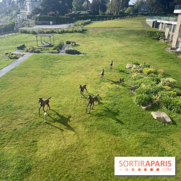 Emeria Dinard - IMG 8526