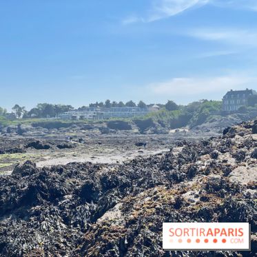 Emeria Dinard