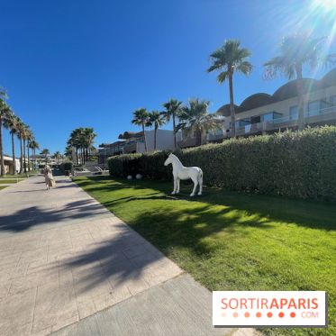 Avra Imperial Hotel en Crète : nos photos - IMG 2283