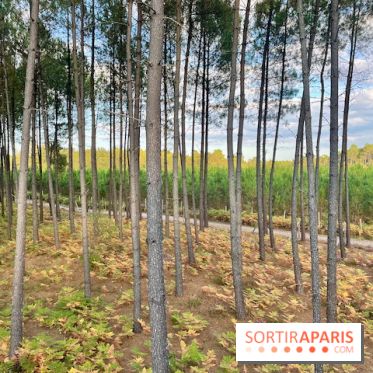 Center Parcs Landes de Gascogne : Nos Photos
