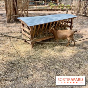 Center Parcs Landes de Gascogne : Nos Photos - IMG 6510