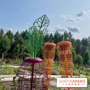 Center Parcs Landes de Gascogne : Nos Photos