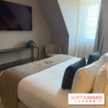 Chambre avec télévision à Fleur de Loire