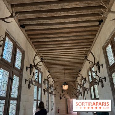 Galerie des trophées de chasse