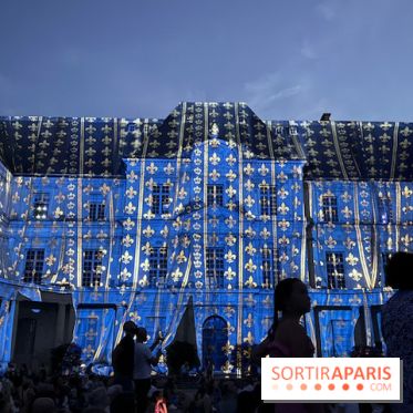 Début du Son et Lumière de Blois