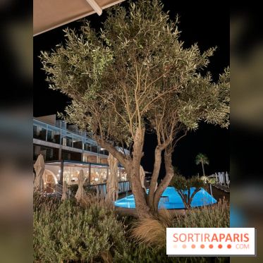 Villa Le Blanc Gran Meliá : piscine principale de nuit