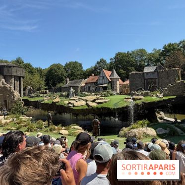 L'Épée du Roi Arthur devant le public